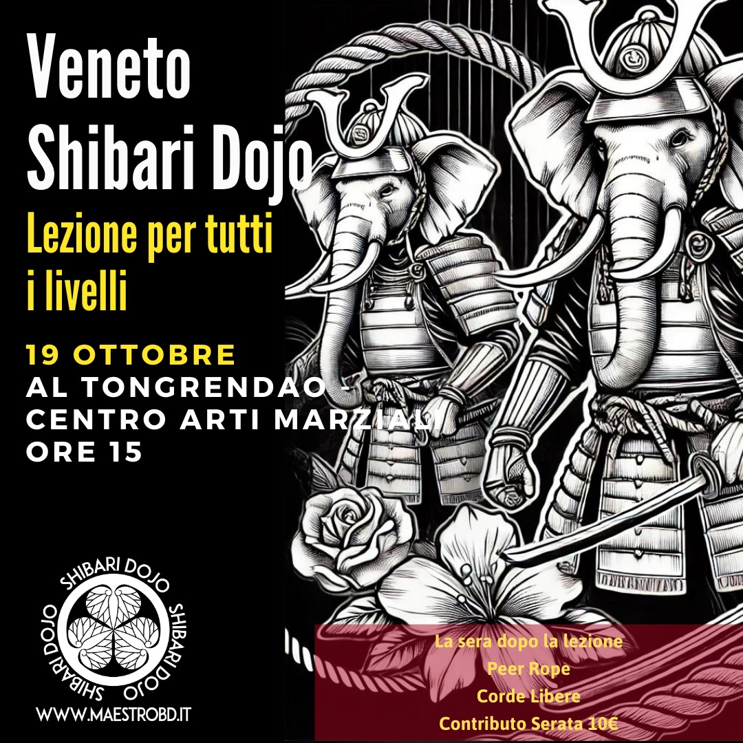 Veneto Lezione di Shibari